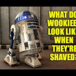 <beep!> Philosodroid <whistle> | WHAT DO WOOKIEES LOOK LIKE; WHEN THEY'RE SHAVED? | image tagged in memes,wookiees,philosodroid,r2d2 | made w/ Imgflip meme maker