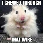 What a mouse looks like after chewing through your wire. | I CHEWED THROUGH; THAT WIRE | image tagged in stressed mouse,memes,mouse,electricity,shocked,funny | made w/ Imgflip meme maker