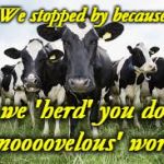 Cows for sale | We stopped by because; we 'herd' you do 'moooovelous' work! | image tagged in cows for sale | made w/ Imgflip meme maker