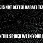 Spider Web | THERE IS NOT BETTER KARATE TEACHER; THEN THE SPIDER WE IN YOUR FACE | image tagged in spider web | made w/ Imgflip meme maker