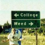 College or weed sign