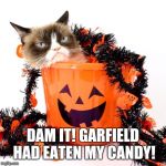 Grumpy Cat Halloween | DAM IT! GARFIELD HAD EATEN MY CANDY! | image tagged in grumpy cat halloween,garfield,memes | made w/ Imgflip meme maker