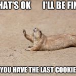 go ahead | THAT'S OK       I'LL BE FINE; YOU HAVE THE LAST COOKIE | image tagged in desperately seeking help,last cookie,memes,gopher,i'll be fine | made w/ Imgflip meme maker