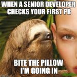 Sloth Whisper | WHEN A SENIOR DEVELOPER CHECKS YOUR FIRST PR; BITE THE PILLOW I'M GOING IN | image tagged in sloth whisper | made w/ Imgflip meme maker