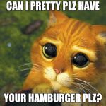 Pretty Please Cat | CAN I PRETTY PLZ HAVE; YOUR HAMBURGER PLZ? | image tagged in pretty please cat | made w/ Imgflip meme maker