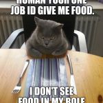 hungry cat | HUMAN YOUR ONE JOB ID GIVE ME FOOD. I DON'T SEE FOOD IN MY BOLE. | image tagged in hungry cat | made w/ Imgflip meme maker