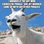 Laughing Goat | I WONDER IF THE GUY WHO COINED THE PHRASE "ONE HIT WONDER" CAME UP WITH ANY OTHER PHRASES. | image tagged in memes,laughing goat | made w/ Imgflip meme maker