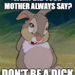Thumper | WHAT DID YOUR MOTHER ALWAYS SAY? DON'T BE A DICK | image tagged in thumper | made w/ Imgflip meme maker