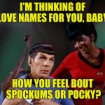 I don't think we were sposed to hear this. | I'M THINKING OF LOVE NAMES FOR YOU, BABY. HOW YOU FEEL BOUT SPOCKUMS OR POCKY? | image tagged in star trek spock lyre uhura out of tune,memes,pocky,spockums | made w/ Imgflip meme maker