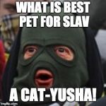 is good weapon and pet
 | WHAT IS BEST PET FOR SLAV; A CAT-YUSHA! | image tagged in cheeki breeki,memes,katyusha,slav,gopnik | made w/ Imgflip meme maker