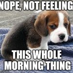 sad puppy | NOPE, NOT FEELING; THIS WHOLE MORNING THING | image tagged in sad puppy | made w/ Imgflip meme maker