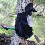 witch hits tree