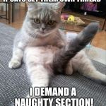 Set the homepage to the Naughty section! | IF CATS GET THEIR OWN THREAD; I DEMAND A NAUGHTY SECTION! | image tagged in cats,funny,naughty,imgflip,free the memes | made w/ Imgflip meme maker
