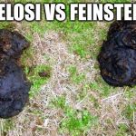 Two Turds | PELOSI VS FEINSTEIN | image tagged in two turds | made w/ Imgflip meme maker