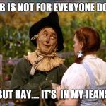 wizard of oz scarecrow | THIS JOB IS NOT FOR EVERYONE DOROTHY; BUT HAY.... IT'S  IN MY JEANS | image tagged in wizard of oz scarecrow | made w/ Imgflip meme maker
