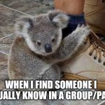 Koala found someone | WHEN I FIND SOMEONE I ACTUALLY KNOW IN A GROUP/PARTY | image tagged in koala found someone | made w/ Imgflip meme maker