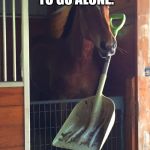 just keep digging | IT IS DANGEROUS TO GO ALONE. TAKE THIS. | image tagged in horse shovel | made w/ Imgflip meme maker