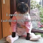 cats pajamas | I swear to you Lisa I will shit on everything you own | image tagged in cats pajamas | made w/ Imgflip meme maker