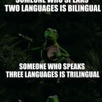 It's nice to be an English speaker! | SOMEONE WHO SPEAKS TWO LANGUAGES IS BILINGUAL; SOMEONE WHO SPEAKS THREE LANGUAGES IS TRILINGUAL; SOMEONE WHO SPEAKS ONE LANGUAGE IS AMERICAN | image tagged in bad pun kermit banjo,stupid americans | made w/ Imgflip meme maker