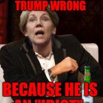 Elizabeth Warren I Don't Always | I'LL ALWAYS PROVE      TRUMP WRONG; BECAUSE HE IS     AN "IDIOT" | image tagged in elizabeth warren i don't always | made w/ Imgflip meme maker