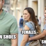 Distracted Girlfriend | SHOES NEW SHOES FEMALES | image tagged in distracted girlfriend | made w/ Imgflip meme maker