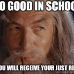Wise Gandalf | DO GOOD IN SCHOOL; AND YOU WILL RECEIVE YOUR JUST REWARD | image tagged in wise gandalf | made w/ Imgflip meme maker