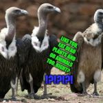 vulture politicians | LIKE YOU, EAT DEAD PLANTS AND OR ANIMALS TOO, RIGHT? !?!?!?! | image tagged in vulture politicians | made w/ Imgflip meme maker