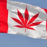 Canadajuana Flag meme
