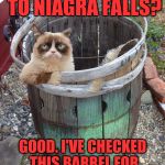 Roll out the barrel they said.  It will be fun they said. | SO YOU'RE GOING TO NIAGRA FALLS? GOOD. I'VE CHECKED THIS BARREL FOR YOU, YOU'RE GOOD TO GO | image tagged in grumpy cat barrel,niagra falls,new york,ontario,maid of the mist,it will be fun they said | made w/ Imgflip meme maker