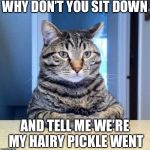 Serious Cat | WHY DON’T YOU SIT DOWN; AND TELL ME WE’RE MY HAIRY PICKLE WENT | image tagged in serious cat | made w/ Imgflip meme maker