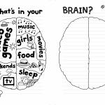Diary of a wimpy kid brain