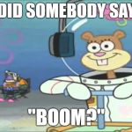 Did somebody say BOOM? | DID SOMEBODY SAY; "BOOM?" | image tagged in did somebody say boom | made w/ Imgflip meme maker