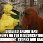 THE HORRIBLE TRUTH.... | BIG BIRD  ENLIGHTENS SNUFFY ON THE MISCONCEPTIONS SURROUNDING  STORKS AND BABIES. | image tagged in memes,big bird and snuffy,babies,birds and bees,sad truth | made w/ Imgflip meme maker