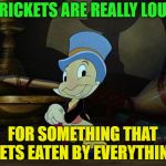 So it has been said | CRICKETS ARE REALLY LOUD; FOR SOMETHING THAT GETS EATEN BY EVERYTHING | image tagged in jiminy cricket,loud,eaten,everything,memes,funny | made w/ Imgflip meme maker