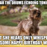 Toto Africa | I HEAR THE DRUMS ECHOING TONIGHT; BUT SHE HEARS ONLY WHISPERS OF SOME HAPPY BIRTHDAY WISH | image tagged in toto africa | made w/ Imgflip meme maker