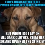 Gunner | I DON’T ALWAYS BOTHER TO GET UP WHEN MY MOM GETS READY FOR WORK... BUT WHEN I DO I LAY ON ALL DARK CLOTHES, STEAL HER SOX AND GIVE HER THE STINK EYE. | image tagged in gunner | made w/ Imgflip meme maker