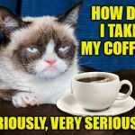 Grumpy Cat Coffee | HOW DO I TAKE MY COFFEE? SERIOUSLY, VERY SERIOUSLY! | image tagged in grumpy cat coffee,memes,so i guess you can say things are getting pretty serious | made w/ Imgflip meme maker