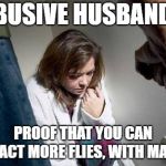 Proof | ABUSIVE HUSBANDS; PROOF THAT YOU CAN ATTRACT MORE FLIES, WITH MANURE | image tagged in battered wife,domestic abuse | made w/ Imgflip meme maker
