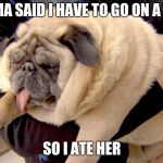 fat pug | MAMA SAID I HAVE TO GO ON A DIET; SO I ATE HER | image tagged in fat pug | made w/ Imgflip meme maker