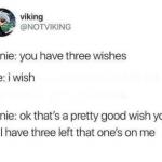 Genie 3 wishes