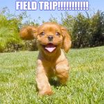 Puppy | FIELD TRIP!!!!!!!!!!! | image tagged in puppy | made w/ Imgflip meme maker