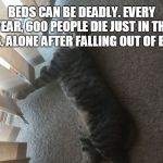 WHEN YOU LAYIN DOWN | BEDS CAN BE DEADLY. EVERY YEAR, 600 PEOPLE DIE JUST IN THE U.S. ALONE AFTER FALLING OUT OF BED. | image tagged in when you layin down | made w/ Imgflip meme maker