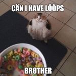 Loops Brother | CÄN I HAVE LÖÖPS; BRØTHER | image tagged in loops brother | made w/ Imgflip meme maker
