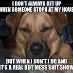 Gunner | I DON’T ALWAYS GET UP WHEN SOMEONE STOPS AT MY HOUSE; BUT WHEN I DON’T I DO AND IT’S A REAL HOT MESS SHIT SHOW. | image tagged in gunner | made w/ Imgflip meme maker