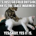 cat massage | IT'S JUST SO COLD OUTSIDE... OHHH IS THE TABLE WARMER ON? YES SALLY, YES IT IS. | image tagged in cat massage | made w/ Imgflip meme maker
