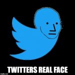 NPC twitter | TWITTERS REAL FACE | image tagged in npc twitter | made w/ Imgflip meme maker