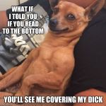 It's true if you look | WHAT IF I TOLD YOU IF YOU READ TO THE BOTTOM; YOU'LL SEE ME COVERING MY DICK | image tagged in max the sarcastic dog,memes,pervert,why you look | made w/ Imgflip meme maker