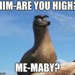 Gerald the Sea Lion | HIM-ARE YOU HIGH? ME-MABY? | image tagged in gerald the sea lion | made w/ Imgflip meme maker