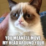 Angry Cat | PET ME? YOU MEAN I'LL MOVE MY HEAD AROUND YOUR HAND THE WAY I SEE FIT! | image tagged in angry cat | made w/ Imgflip meme maker