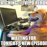 dog computer | WATCHING #LIVEPD RERUNS; WAITING FOR TONIGHT'S NEW EPISODE | image tagged in dog computer | made w/ Imgflip meme maker